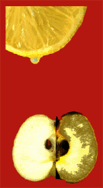 A citrom aszkorbinsavas leve megvédi a felvágott almát a barnulástól
