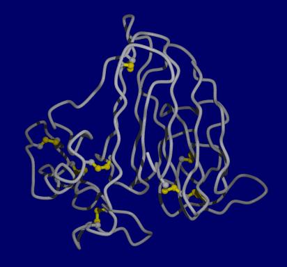 A taumatin fehérjemolekula kötélmodelje