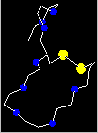 Peptide backbone