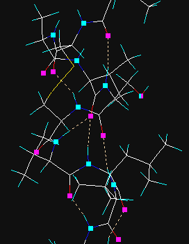 Hydrogen bonds